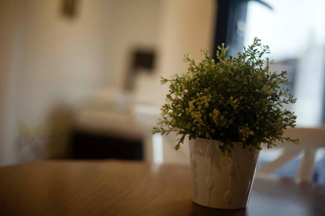 Galata Cicek Suites イスタンブール エクステリア 写真